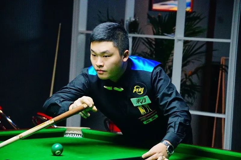 提供了新的 提供了新的