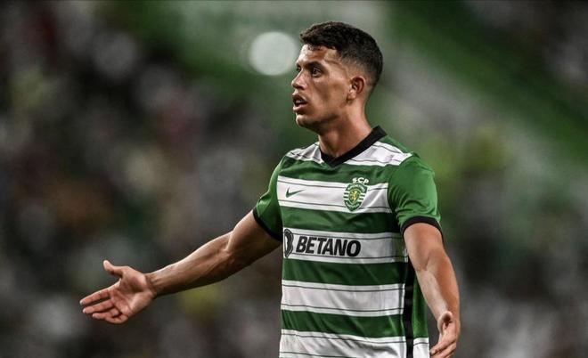 乎无法从容 乎无法从容