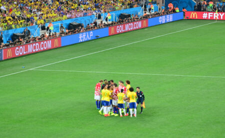 高排名生态 高排名生态